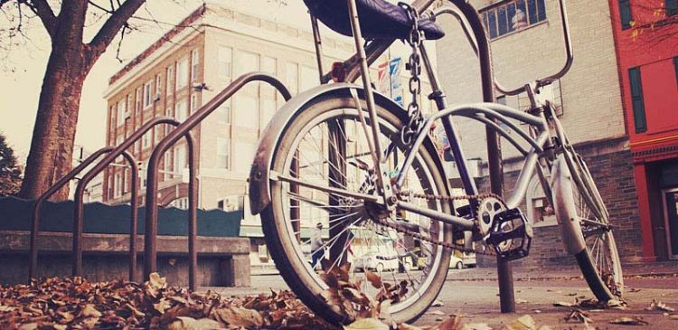 Etiam feugiat lorem non metus