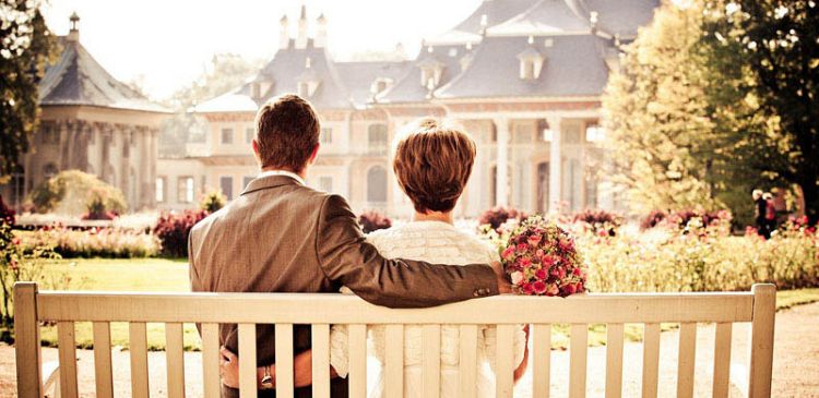 Sed magna purus fermentum