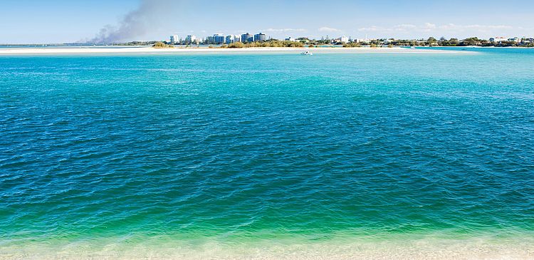 Donec pede justo fringilla